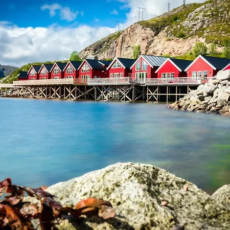 Lofoten Rorbu ロッジ *