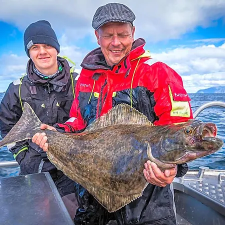 Lofoten Rorbu ロッジ Offersoya