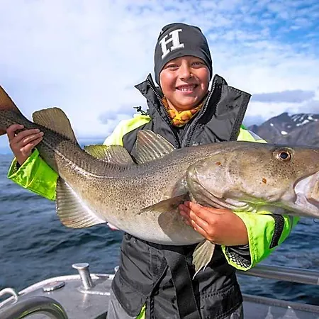 Lofoten Rorbu