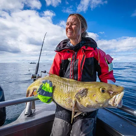 Lofoten Rorbu * Offersoya