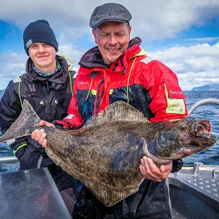 Lofoten Rorbu Offersoya