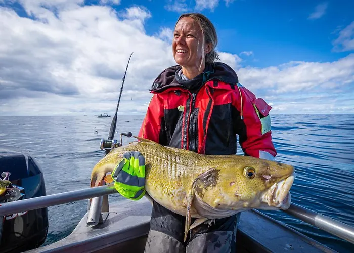 Lofoten Rorbu * Offersoya